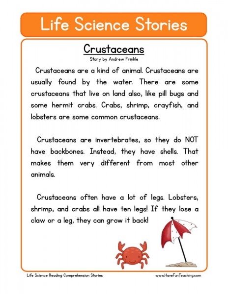 Third Grade Reading Comprehension Worksheets