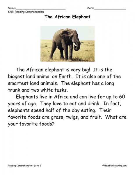 Reading Comprehension Worksheet - The African Elephant