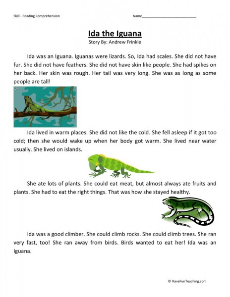 Reading Comprehension Worksheet - Ida the Iguana