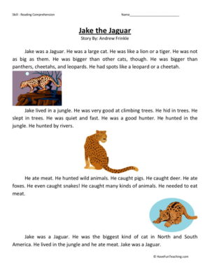 Reading Comprehension Worksheet - Jake the Jaguar