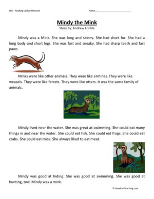 Reading Comprehension Worksheet - Mindy the Mink