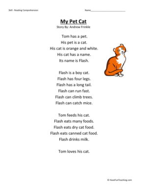 Reading Comprehension Worksheet - My Pet Cat