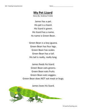Reading Comprehension Worksheet - My Pet Lizard