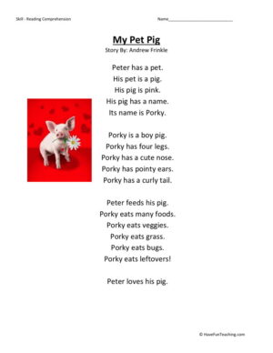 Reading Comprehension Worksheet - My Pet Pig