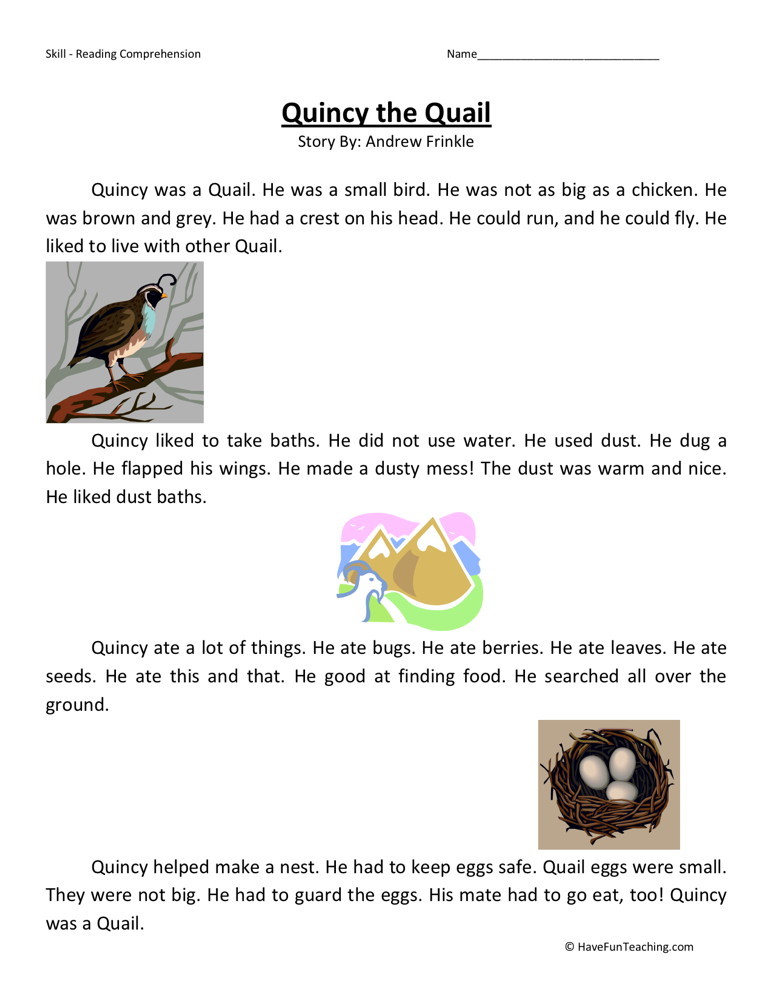 Reading Comprehension Worksheet - Quincy the Quail