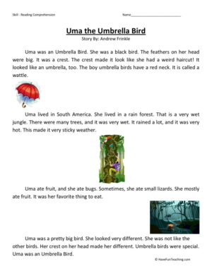 Reading Comprehension Worksheet - Uma the Umbrella Bird