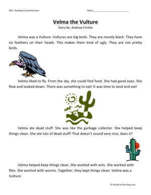 Reading Comprehension Worksheet - Velma the Vulture
