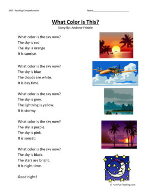 Reading Comprehension Worksheet - What Color is This?