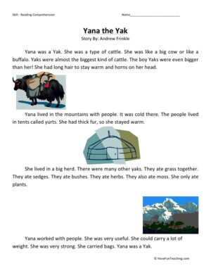 Reading Comprehension Worksheet - Yana the Yak