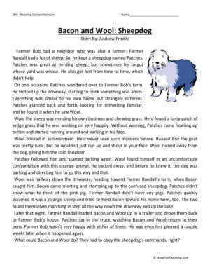 Reading Comprehension Worksheet - Bacon and Wool: Sheepdog