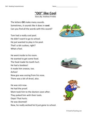 Reading Comprehension Worksheet - OO Like Cool