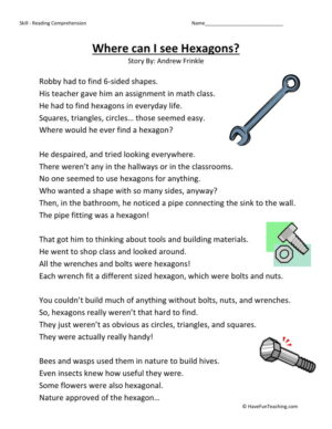 Reading Comprehension Worksheet - Where Can I See Hexagons?