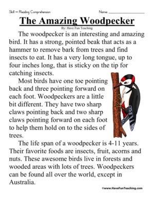 The Amazing Woodpecker