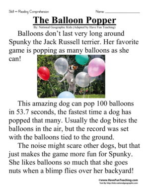 The Balloon Popper