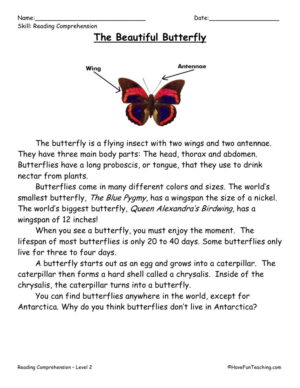The Beautiful Butterfly