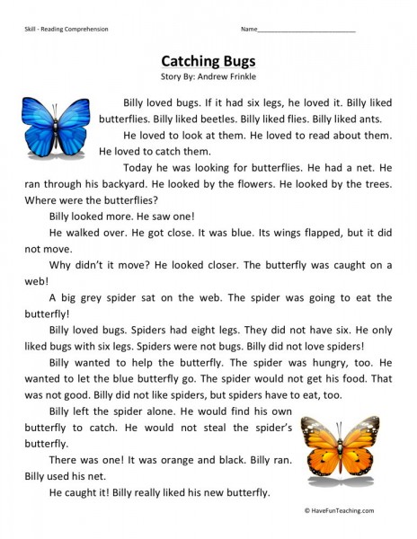 Reading Comprehension Worksheet - Catching Bugs