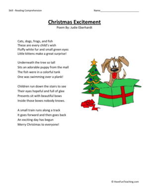 Christmas Excitement