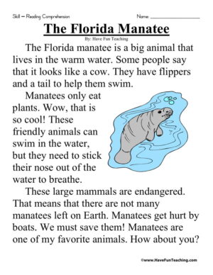 The Florida Manatee
