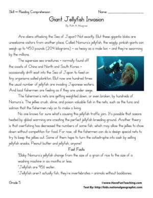 Giant Jellyfish Invasion