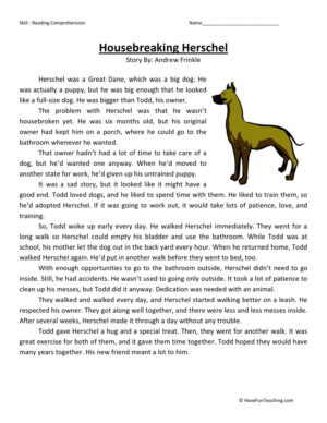 Housebreaking Herschel