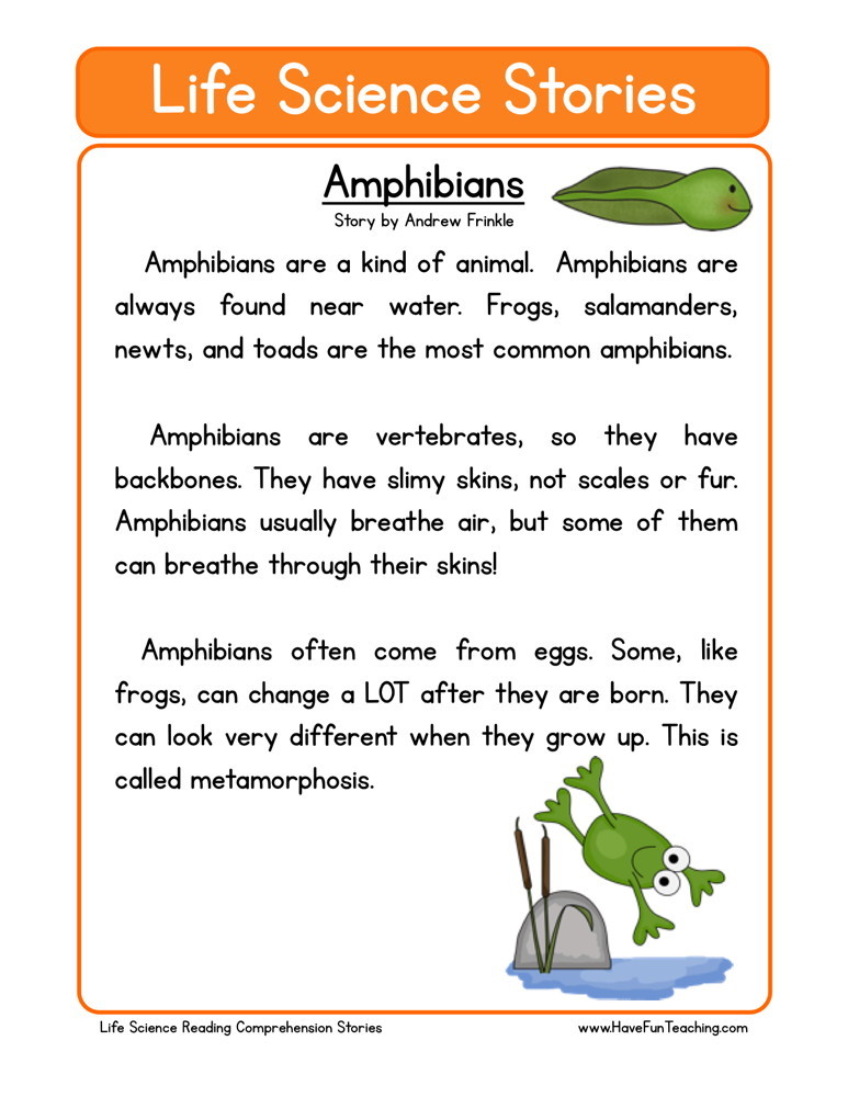 Reading Comprehension Worksheet Amphibians
