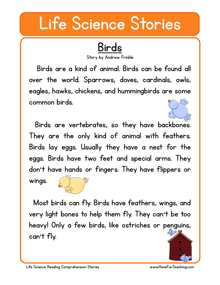 Reading Comprehension Worksheet - Birds