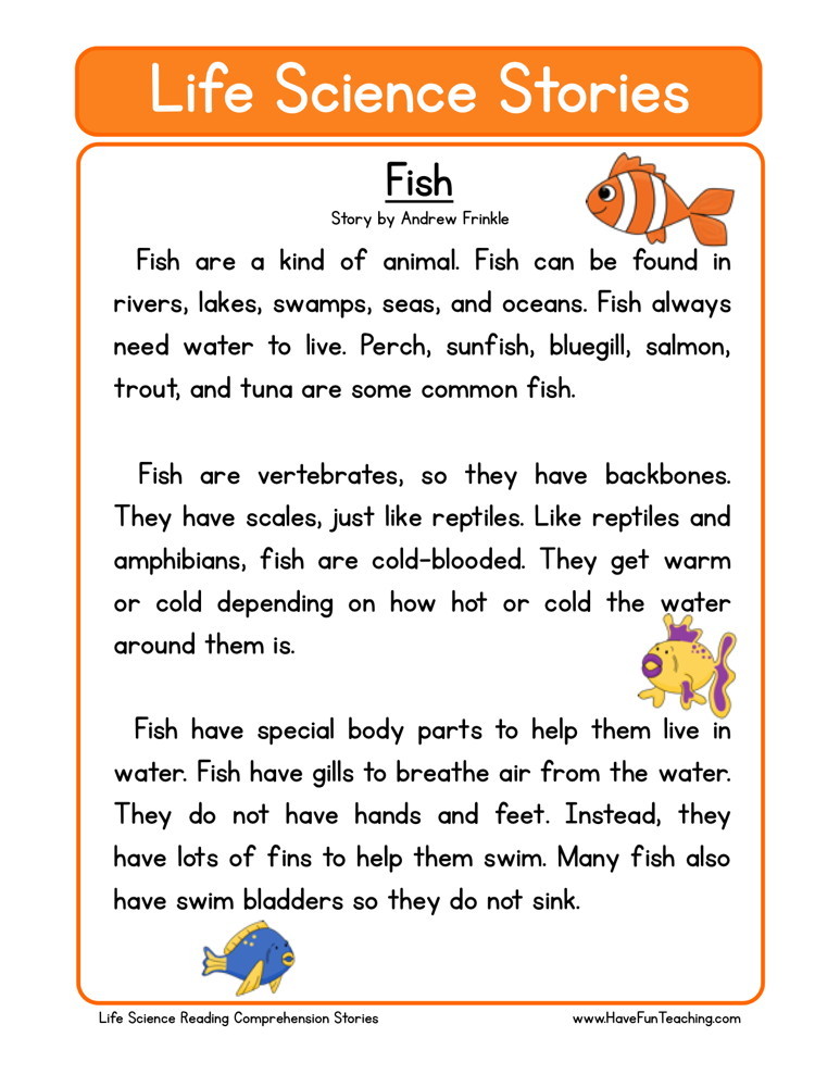 Fourth Grade Reading Comprehension Worksheets