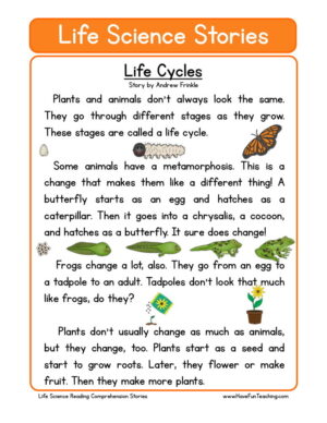 Life Cycles