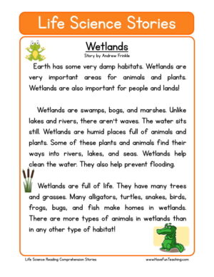 Wetlands