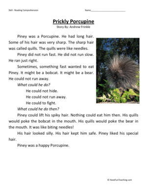 Prickly Porcupine